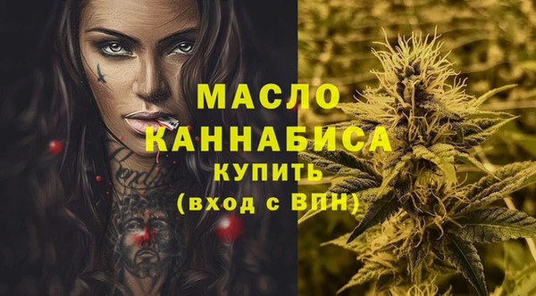 индика Верхний Тагил